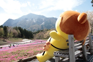 ひと休み