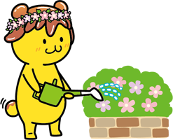 花壇に水やり