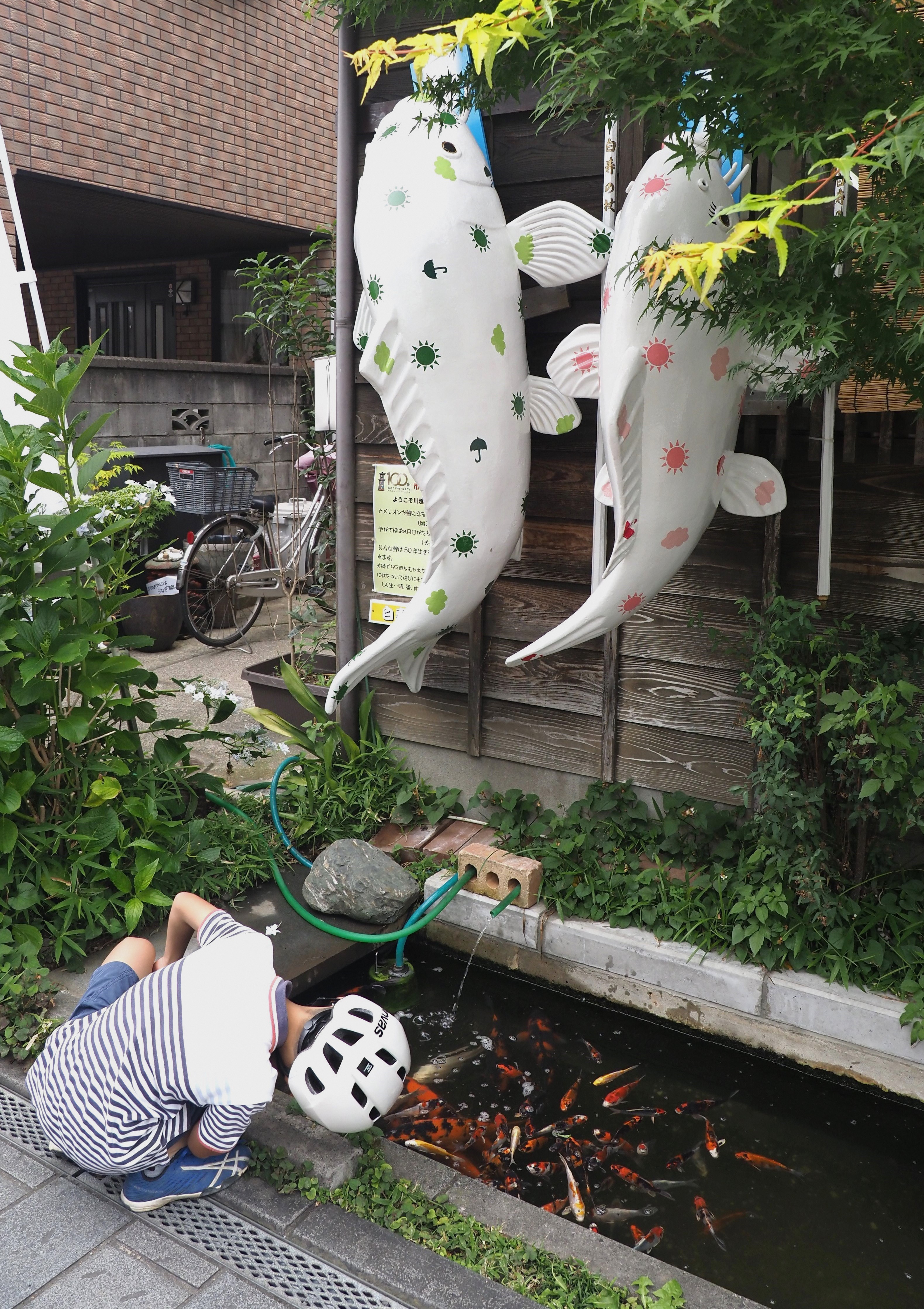 わぁいっぱいきたね