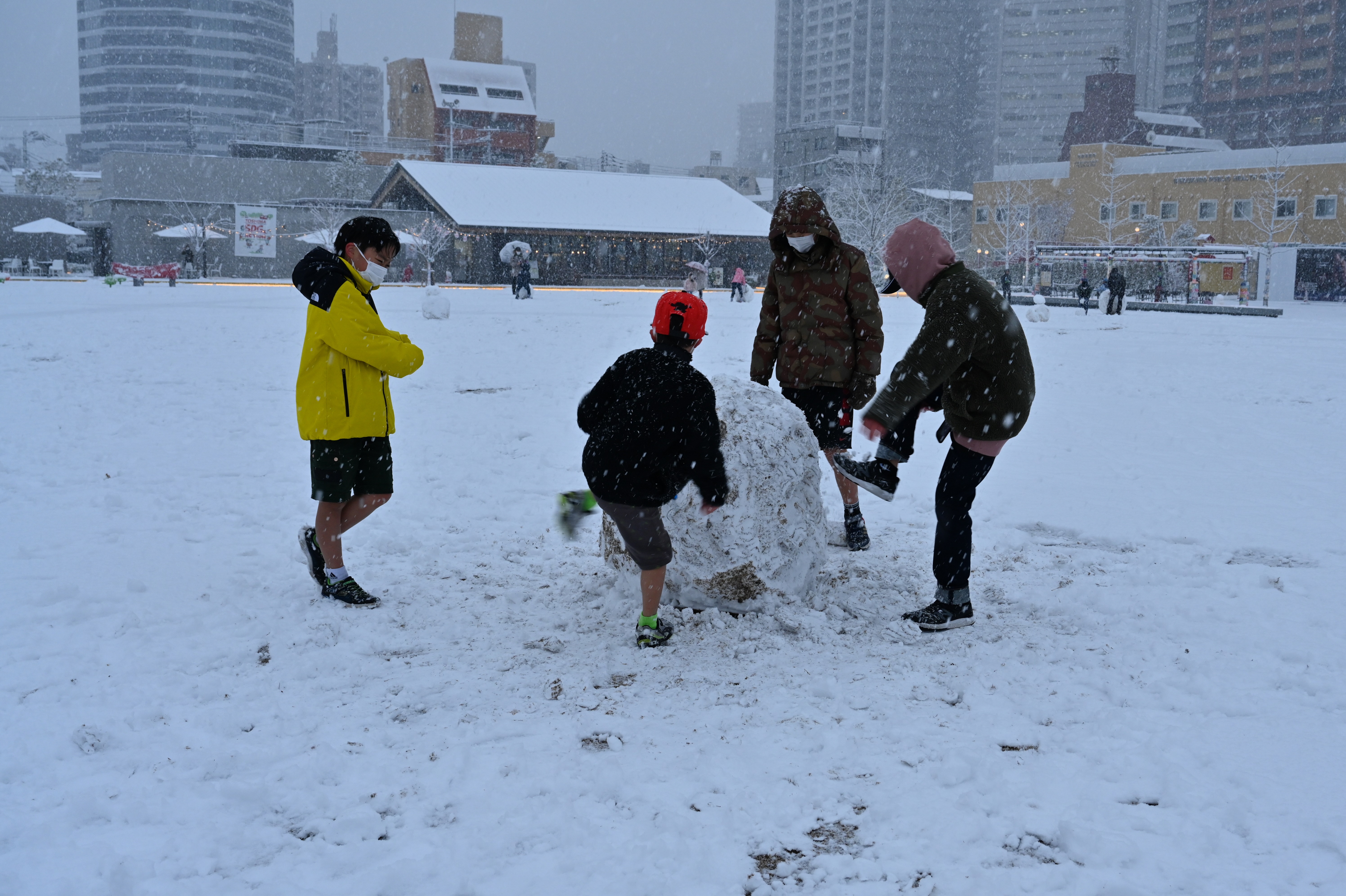 初雪の戯れ